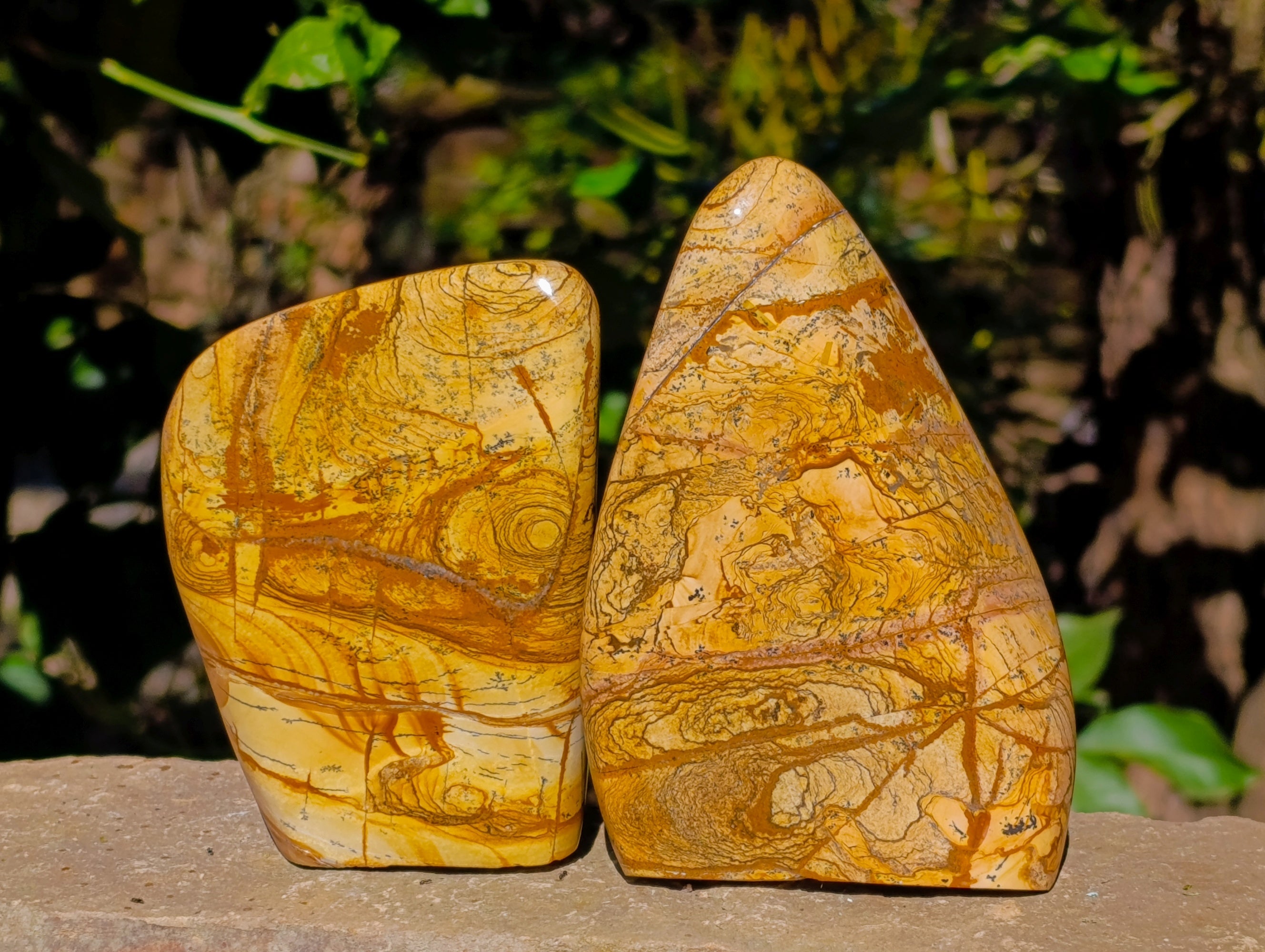 Polished Picture Stone Jasper Standing Free Forms x 2 From Ais-Ais, Namibia - Toprock Gemstones and Minerals 