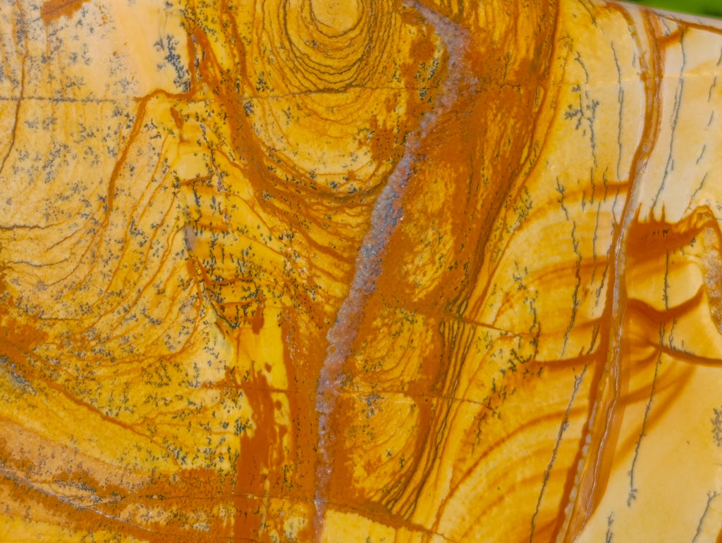 Polished Picture Stone Jasper Standing Free Forms x 2 From Ais-Ais, Namibia - Toprock Gemstones and Minerals 