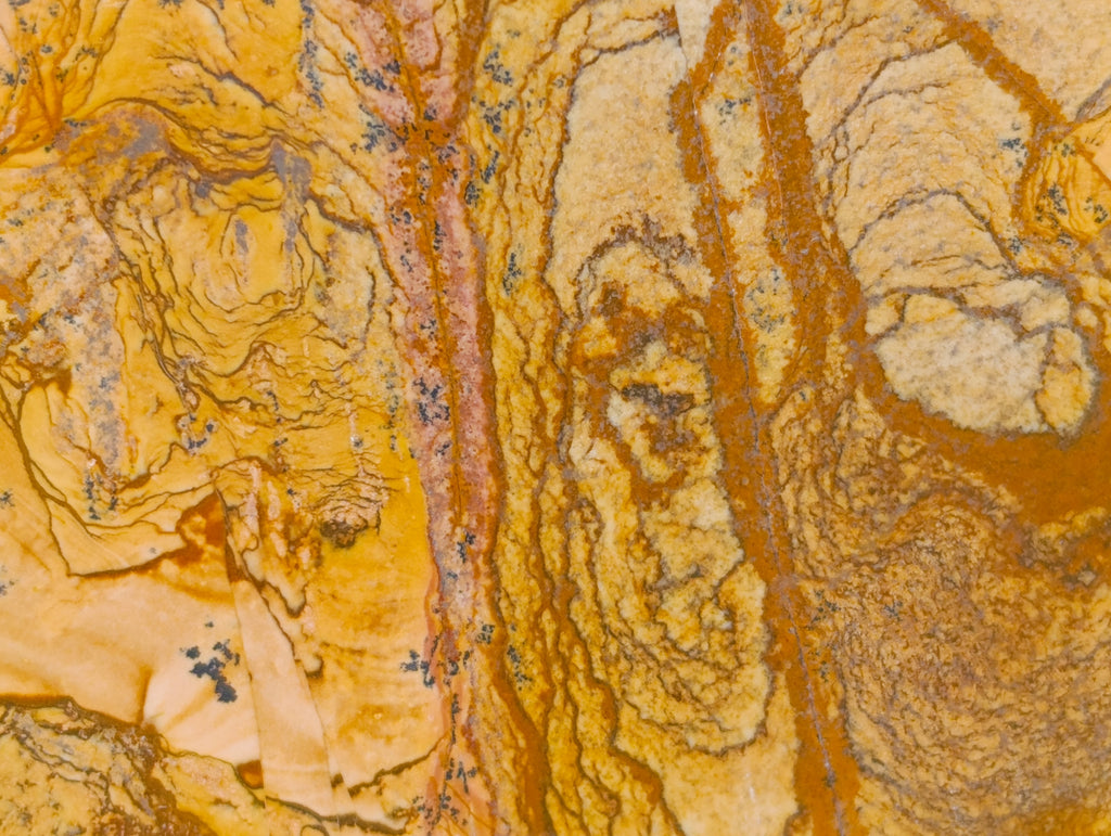 Polished Picture Stone Jasper Standing Free Forms x 2 From Ais-Ais, Namibia - Toprock Gemstones and Minerals 