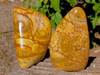 Polished Picture Stone Jasper Standing Free Forms x 2 From Ais-Ais, Namibia - Toprock Gemstones and Minerals 