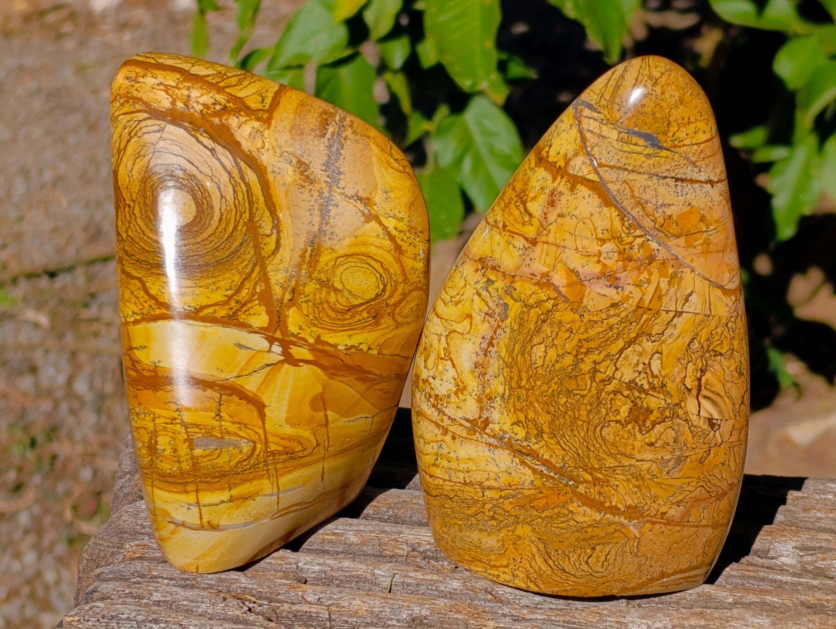 Polished Picture Stone Jasper Standing Free Forms x 2 From Ais-Ais, Namibia - Toprock Gemstones and Minerals 