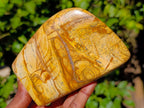 Polished Picture Stone Jasper Standing Free Forms x 2 From Ais-Ais, Namibia - Toprock Gemstones and Minerals 