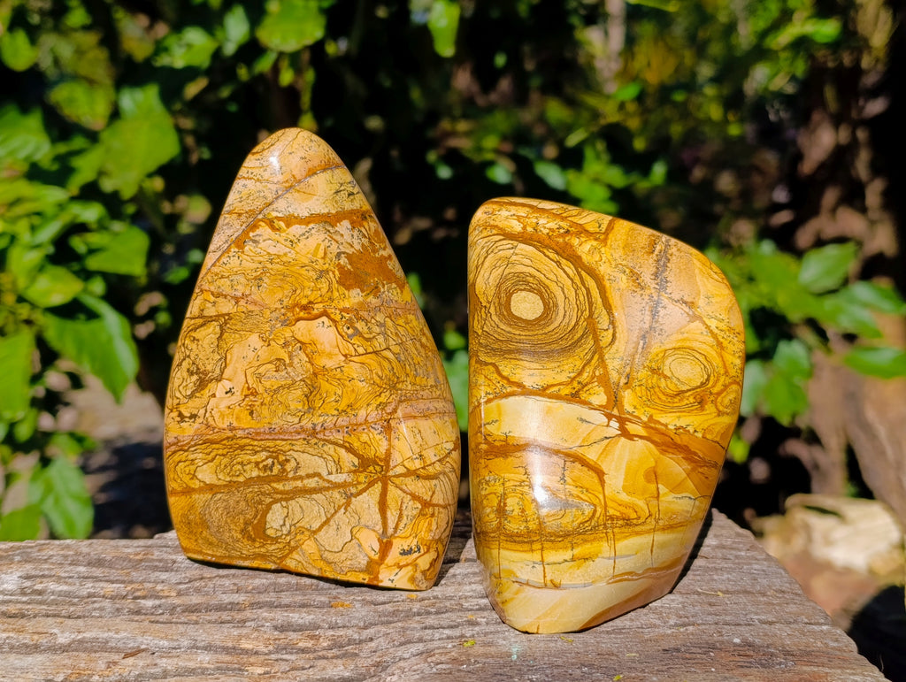 Polished Picture Stone Jasper Standing Free Forms x 2 From Ais-Ais, Namibia - Toprock Gemstones and Minerals 