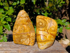 Polished Picture Stone Jasper Standing Free Forms x 2 From Ais-Ais, Namibia - Toprock Gemstones and Minerals 