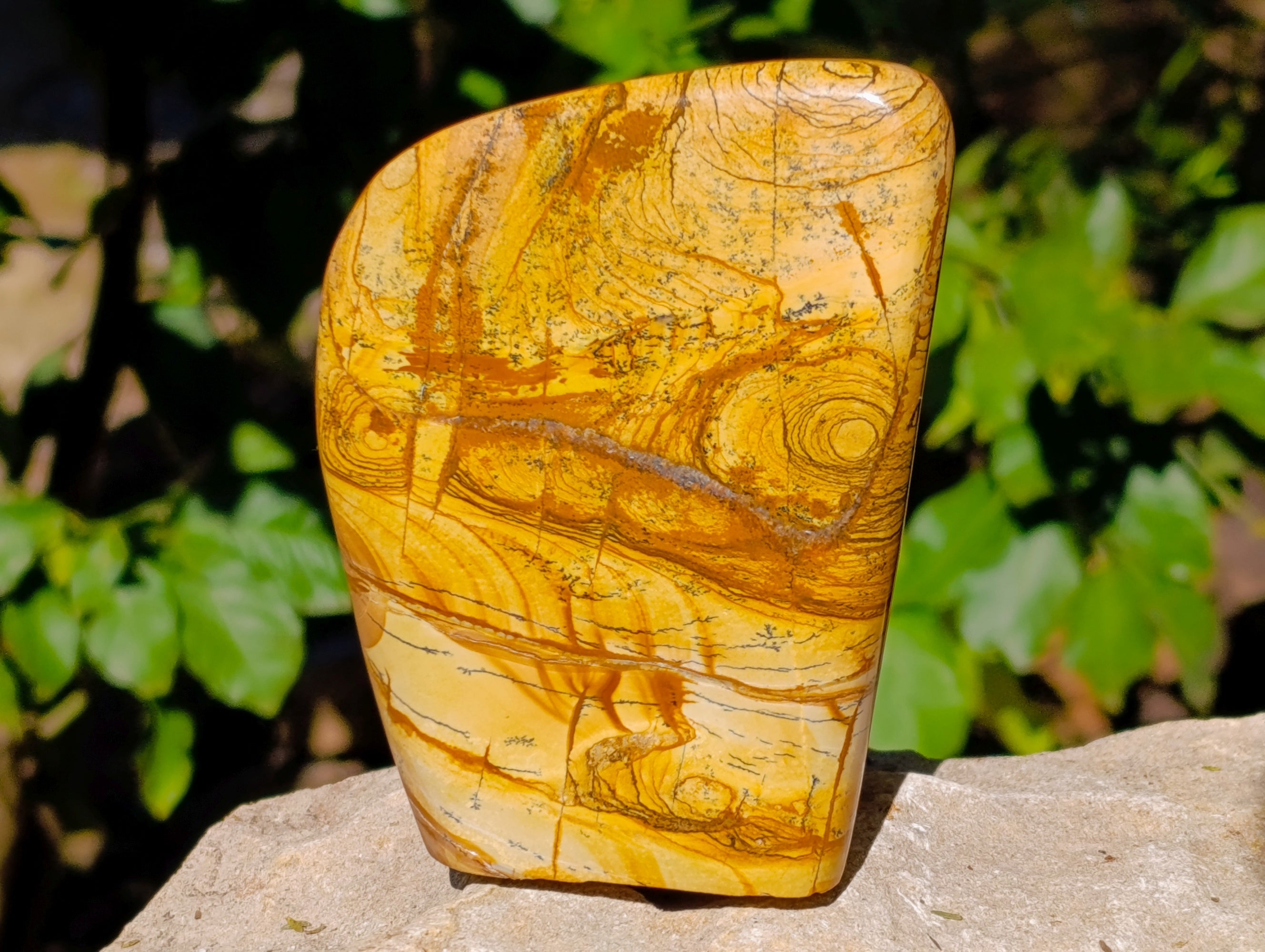 Polished Picture Stone Jasper Standing Free Forms x 2 From Ais-Ais, Namibia - Toprock Gemstones and Minerals 