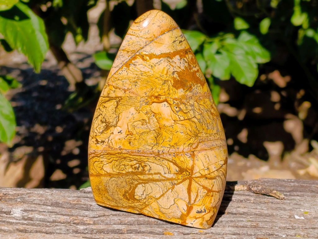 Polished Picture Stone Jasper Standing Free Forms x 2 From Ais-Ais, Namibia - Toprock Gemstones and Minerals 