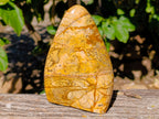Polished Picture Stone Jasper Standing Free Forms x 2 From Ais-Ais, Namibia - Toprock Gemstones and Minerals 