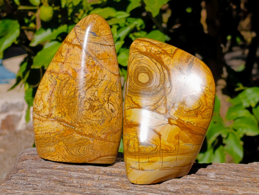 Polished Picture Stone Jasper Standing Free Forms x 2 From Ais-Ais, Namibia - Toprock Gemstones and Minerals 