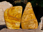 Polished Picture Stone Jasper Standing Free Forms x 2 From Ais-Ais, Namibia - Toprock Gemstones and Minerals 