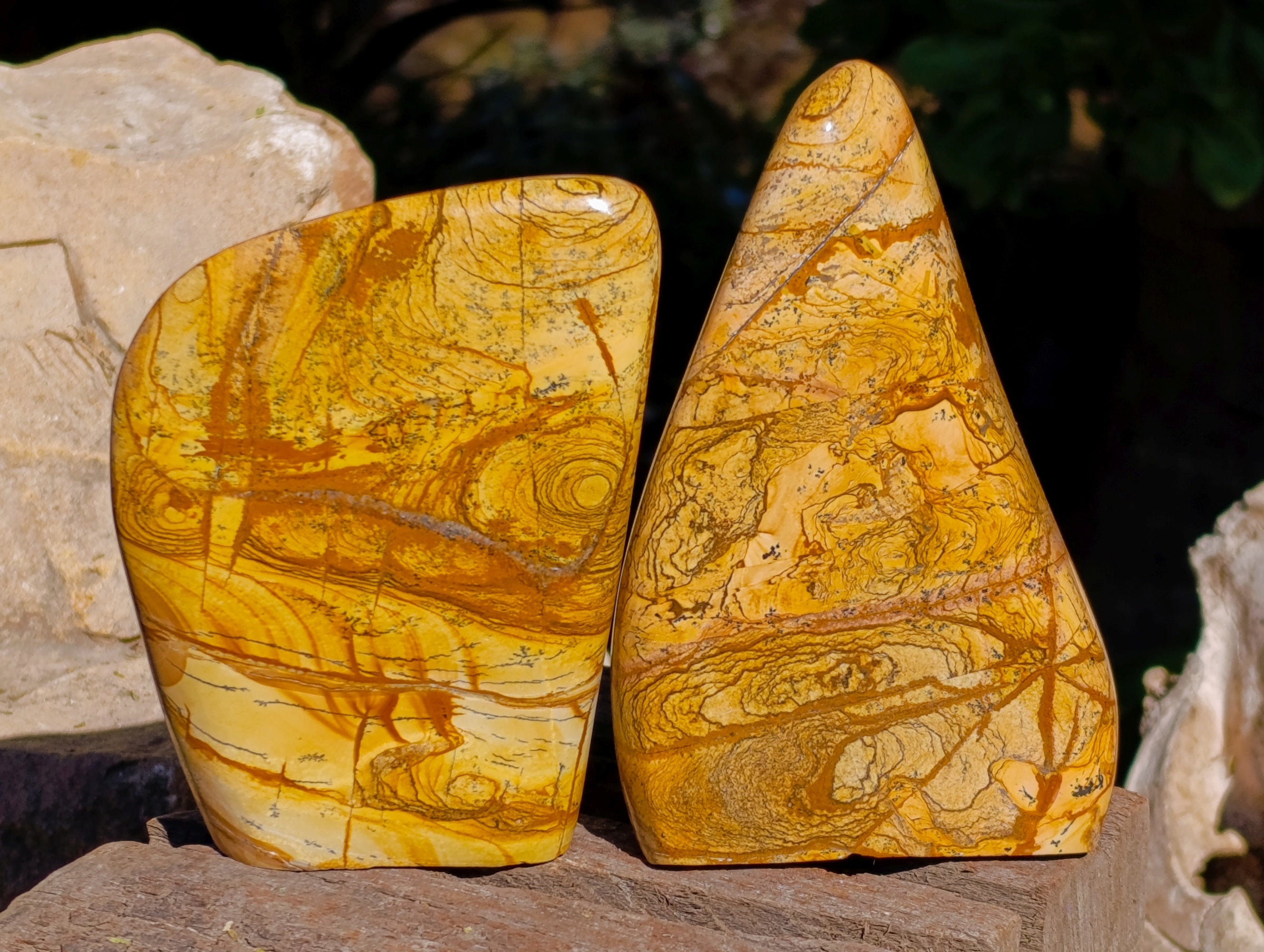 Polished Picture Stone Jasper Standing Free Forms x 2 From Ais-Ais, Namibia - Toprock Gemstones and Minerals 
