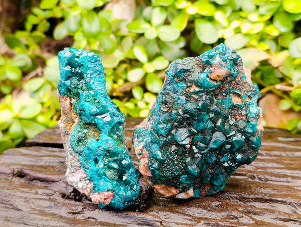 Natural Dioptase with Chrysocolla, Malachite and Shattuckite Specimens x 2 From Likasi, Congo