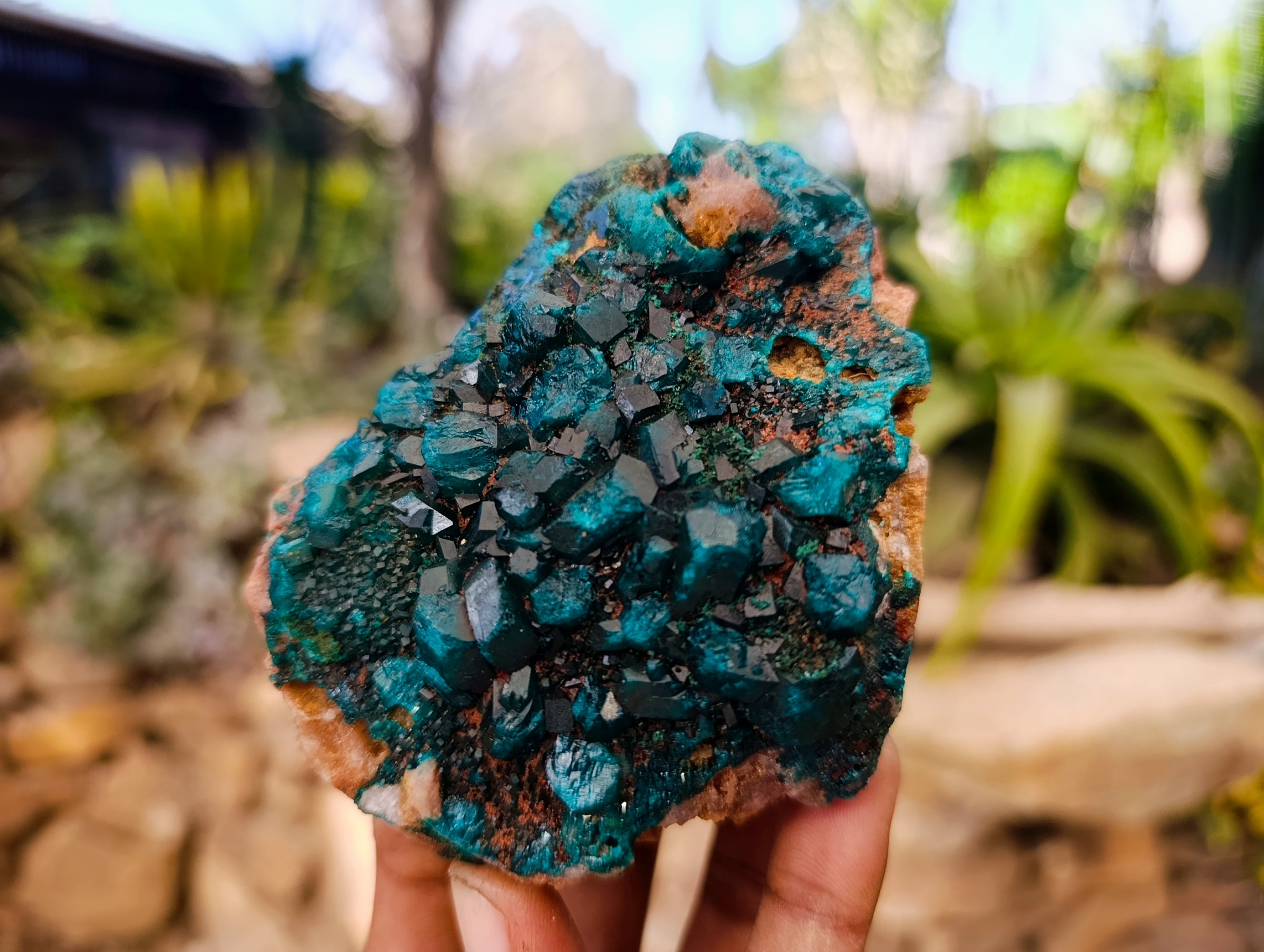 Natural Dioptase with Chrysocolla, Malachite and Shattuckite Specimens x 2 From Likasi, Congo - Toprock Gemstones and Minerals 