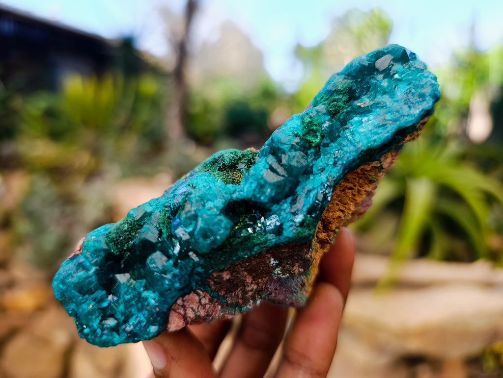 Natural Dioptase with Chrysocolla, Malachite and Shattuckite Specimens x 2 From Likasi, Congo - Toprock Gemstones and Minerals 