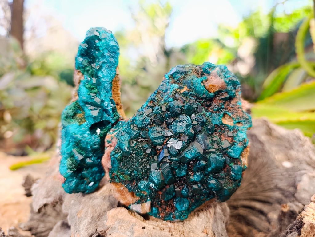 Natural Dioptase with Chrysocolla, Malachite and Shattuckite Specimens x 2 From Likasi, Congo - Toprock Gemstones and Minerals 