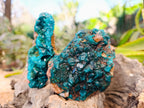 Natural Dioptase with Chrysocolla, Malachite and Shattuckite Specimens x 2 From Likasi, Congo - Toprock Gemstones and Minerals 