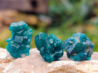 Natural Small Dioptase on Dolomite Matrix Specimens x 35 From Likasi, Congo - Toprock Gemstones and Minerals 