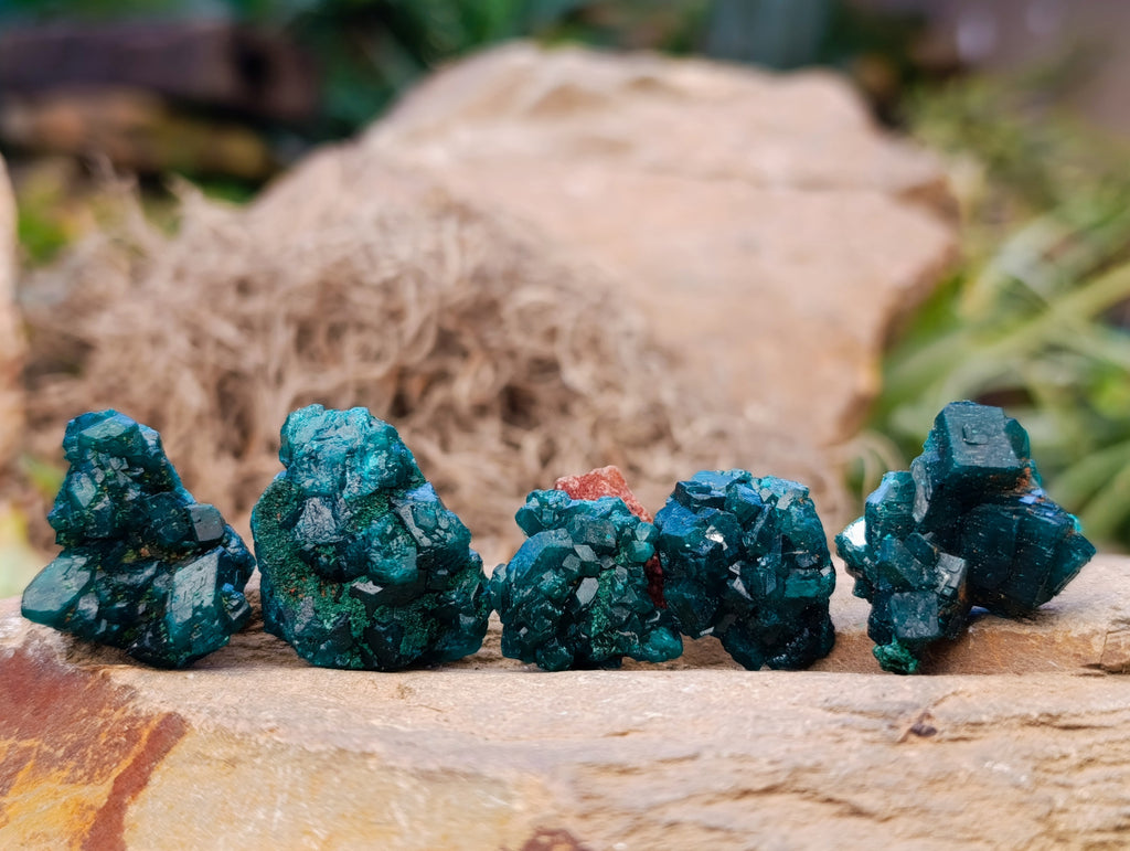 Natural Small Dioptase on Dolomite Matrix Specimens x 35 From Likasi, Congo - Toprock Gemstones and Minerals 