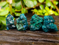 Natural Small Dioptase on Dolomite Matrix Specimens x 35 From Likasi, Congo - Toprock Gemstones and Minerals 