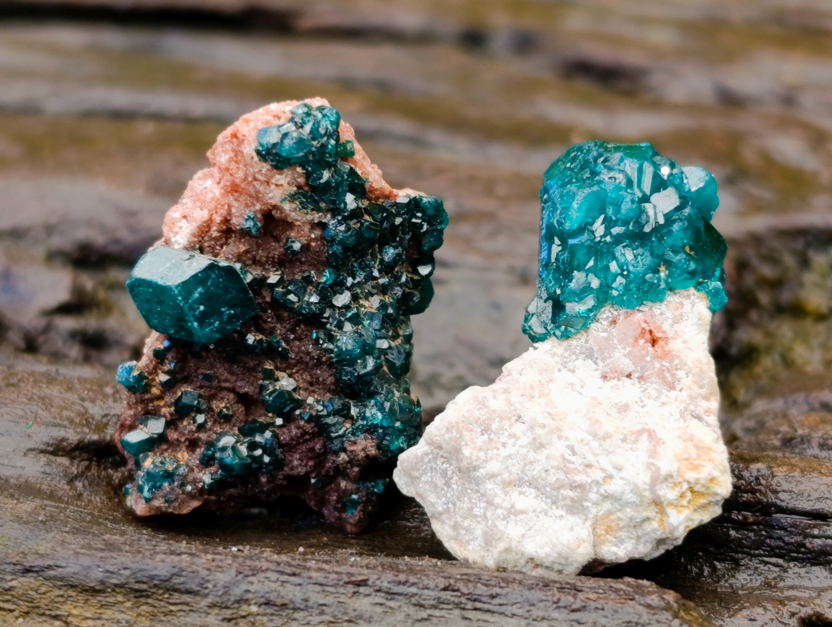 Natural Small Dioptase on Dolomite Matrix Specimens x 35 From Likasi, Congo - Toprock Gemstones and Minerals 