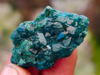 Natural Small Dioptase on Dolomite Matrix Specimens x 35 From Likasi, Congo - Toprock Gemstones and Minerals 