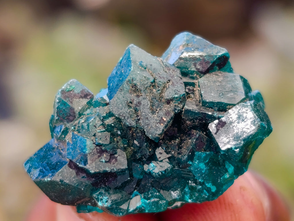 Natural Small Dioptase on Dolomite Matrix Specimens x 35 From Likasi, Congo - Toprock Gemstones and Minerals 