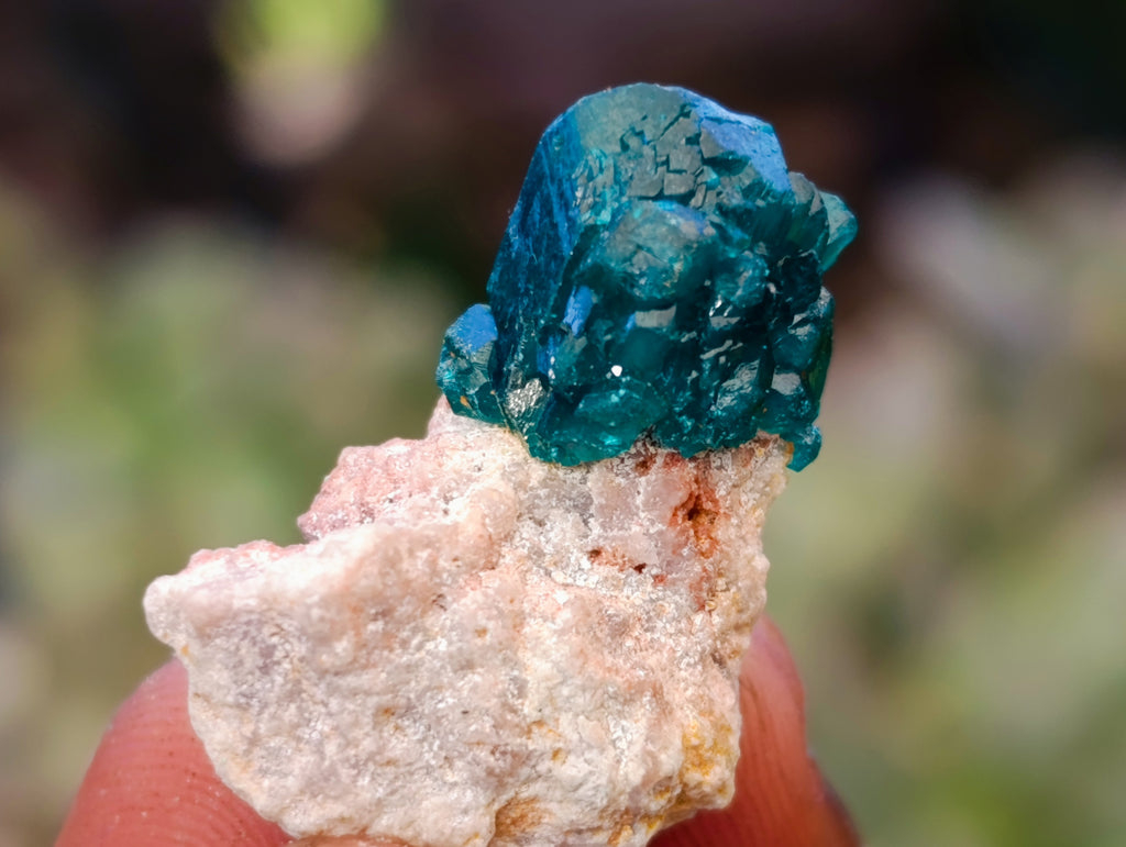 Natural Small Dioptase on Dolomite Matrix Specimens x 35 From Likasi, Congo - Toprock Gemstones and Minerals 