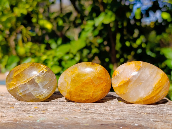 Polished Golden Healer Quartz Palm Stones x 20 From Madagascar
