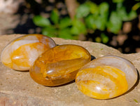 Polished Golden Healer Quartz Palm Stones x 20 From Madagascar