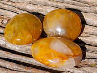 Polished Golden Healer Quartz Palm Stones x 20 From Madagascar