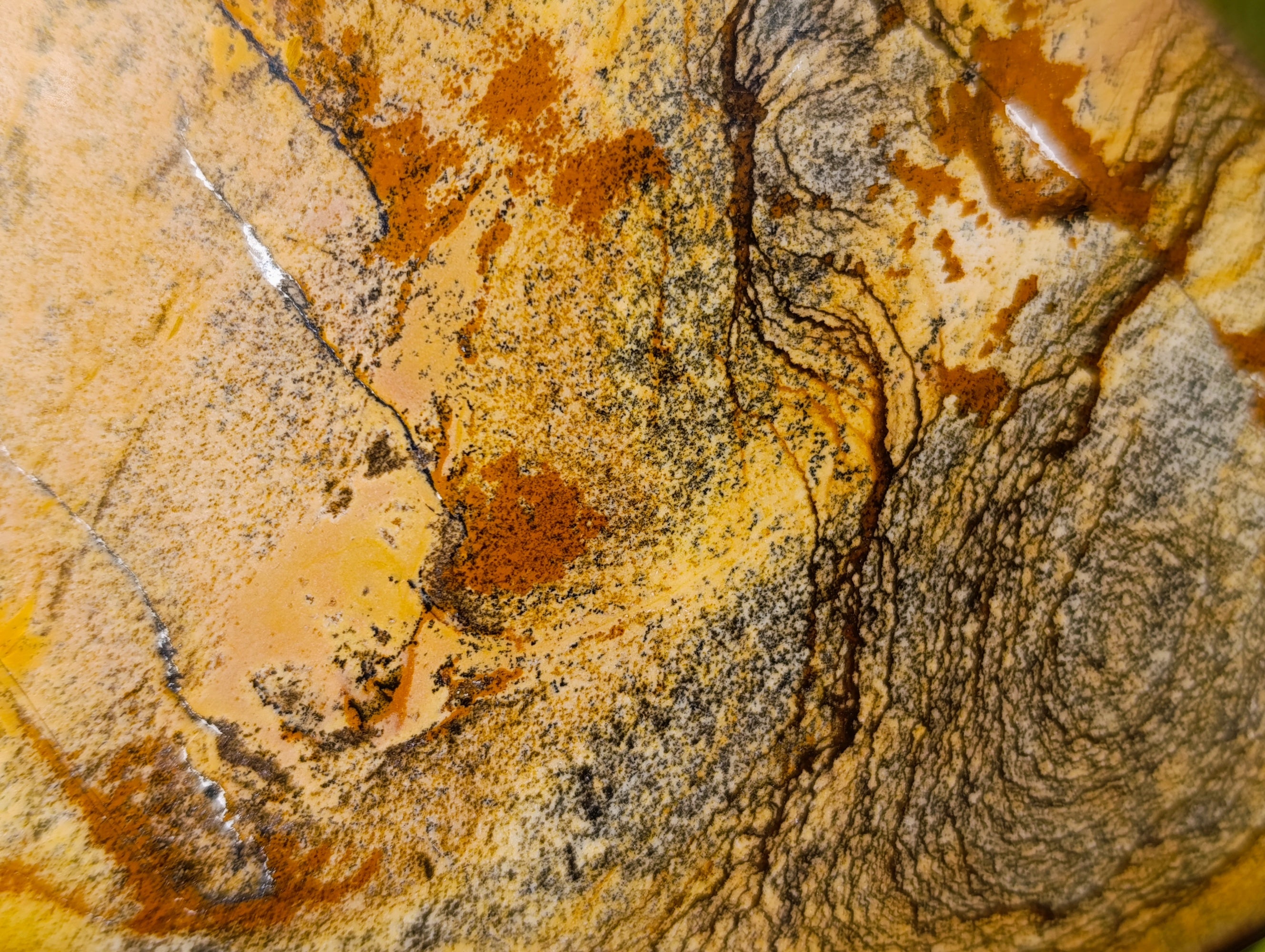 Polished Picture Stone Jasper Standing Free Forms x 2 From Ais-Ais, Namibia - Toprock Gemstones and Minerals 