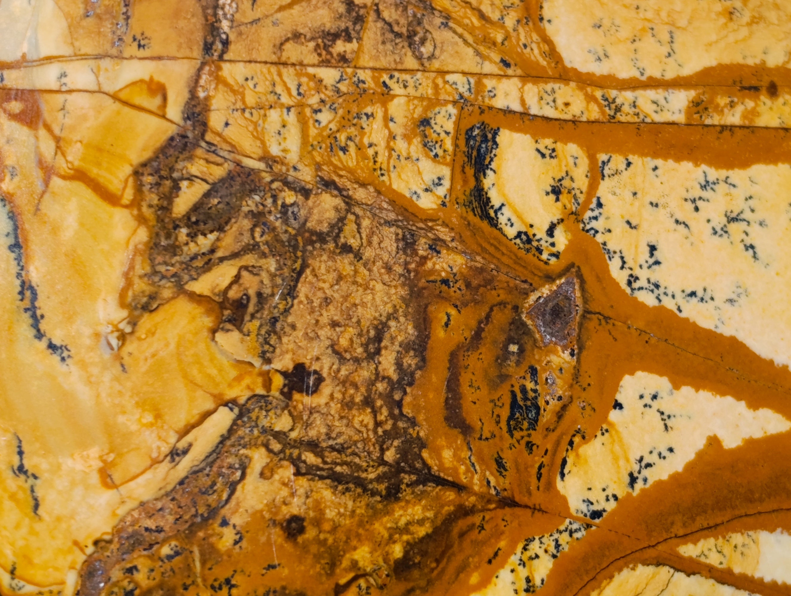 Polished Picture Stone Jasper Standing Free Forms x 2 From Ais-Ais, Namibia - Toprock Gemstones and Minerals 