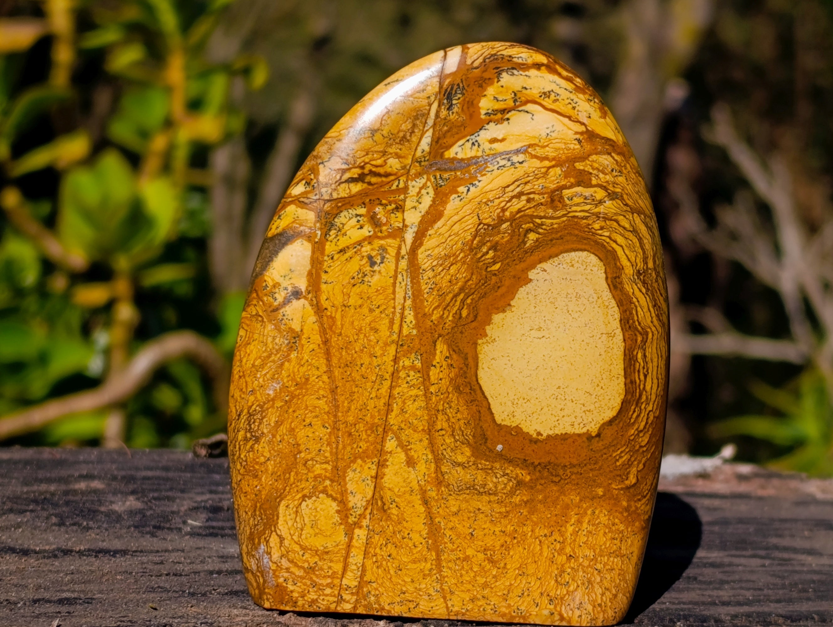 Polished Picture Stone Jasper Standing Free Forms x 2 From Ais-Ais, Namibia - Toprock Gemstones and Minerals 