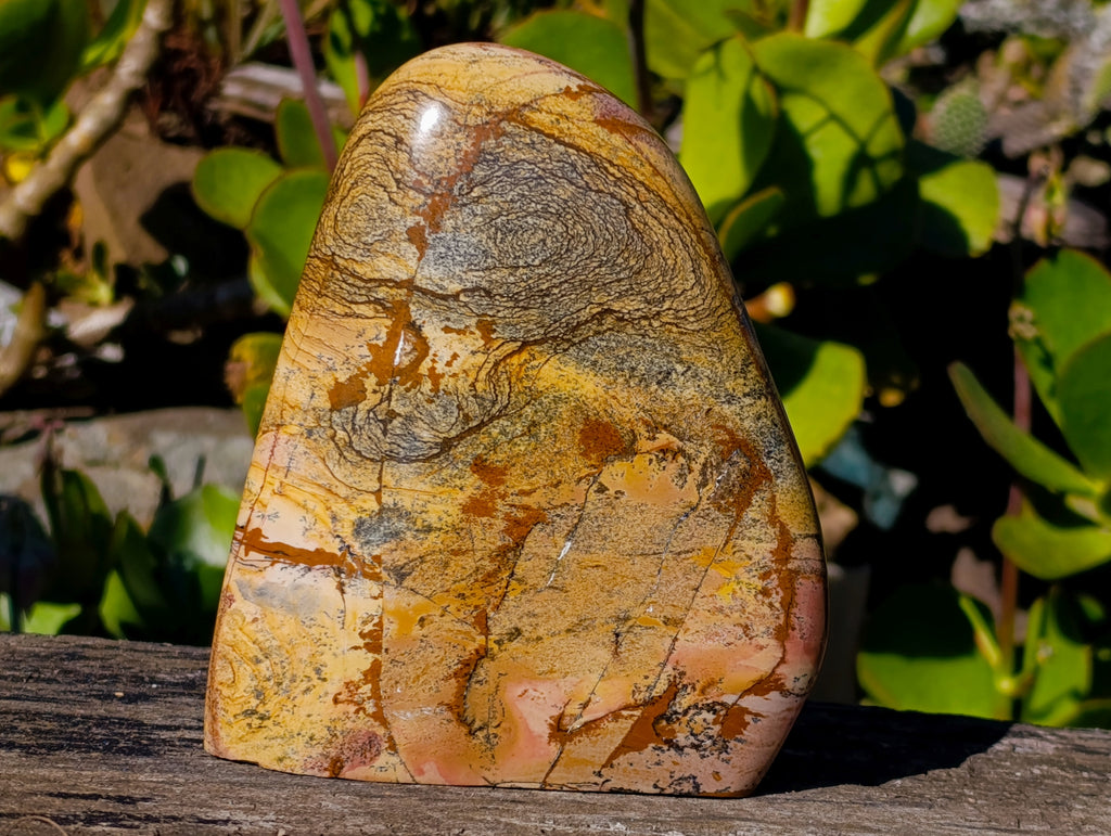 Polished Picture Stone Jasper Standing Free Forms x 2 From Ais-Ais, Namibia - Toprock Gemstones and Minerals 
