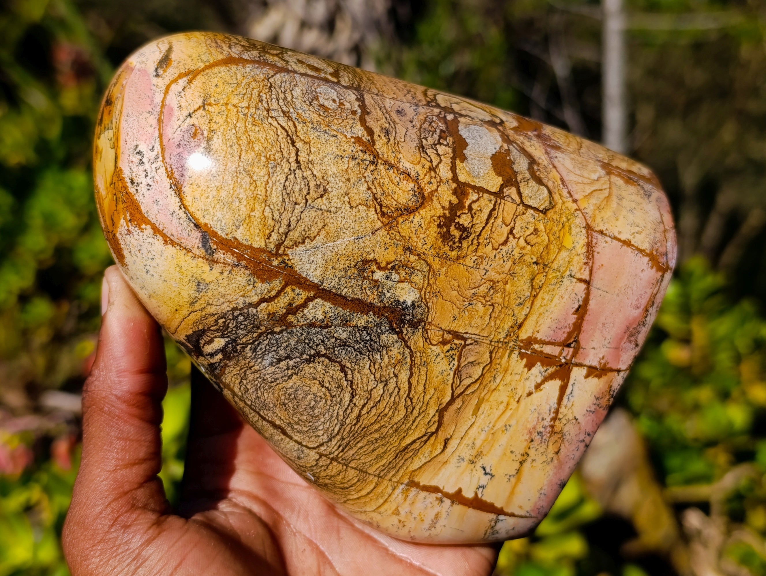 Polished Picture Stone Jasper Standing Free Forms x 2 From Ais-Ais, Namibia - Toprock Gemstones and Minerals 