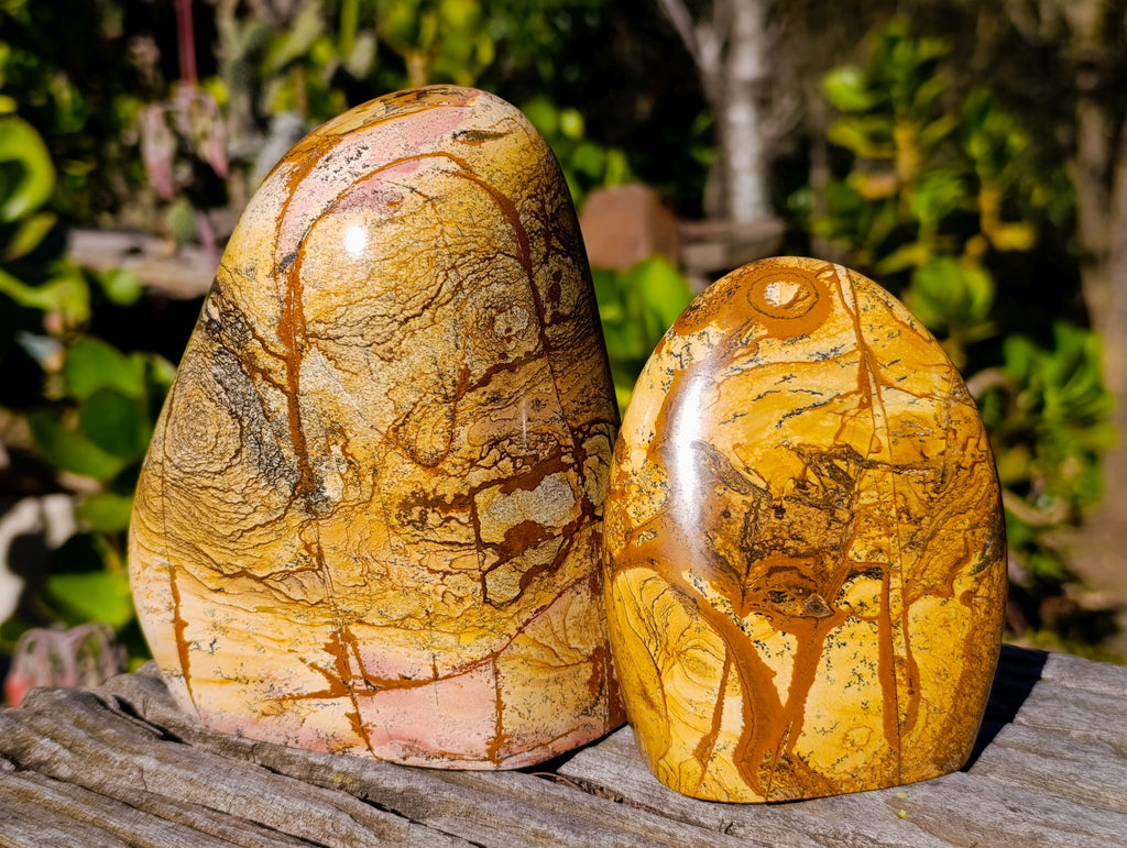 Polished Picture Stone Jasper Standing Free Forms x 2 From Ais-Ais, Namibia - Toprock Gemstones and Minerals 