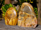 Polished Picture Stone Jasper Standing Free Forms x 2 From Ais-Ais, Namibia - Toprock Gemstones and Minerals 