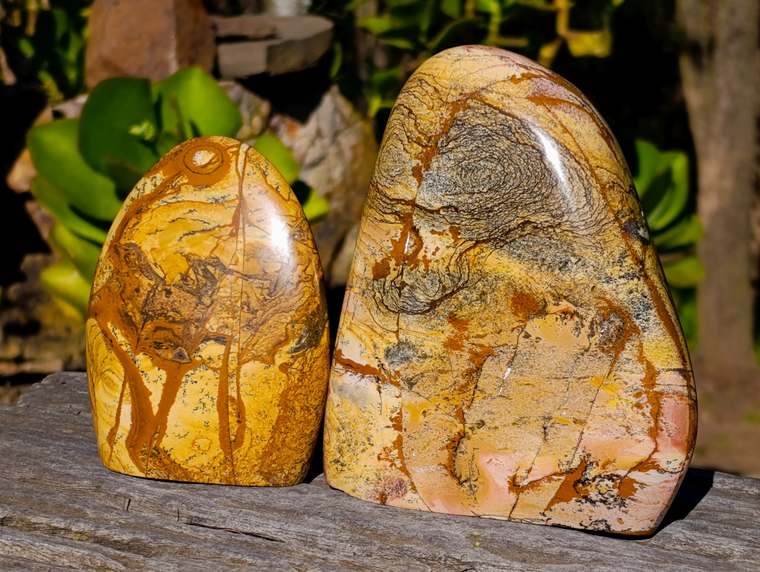 Polished Picture Stone Jasper Standing Free Forms x 2 From Ais-Ais, Namibia - Toprock Gemstones and Minerals 