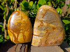Polished Picture Stone Jasper Standing Free Forms x 2 From Ais-Ais, Namibia - Toprock Gemstones and Minerals 