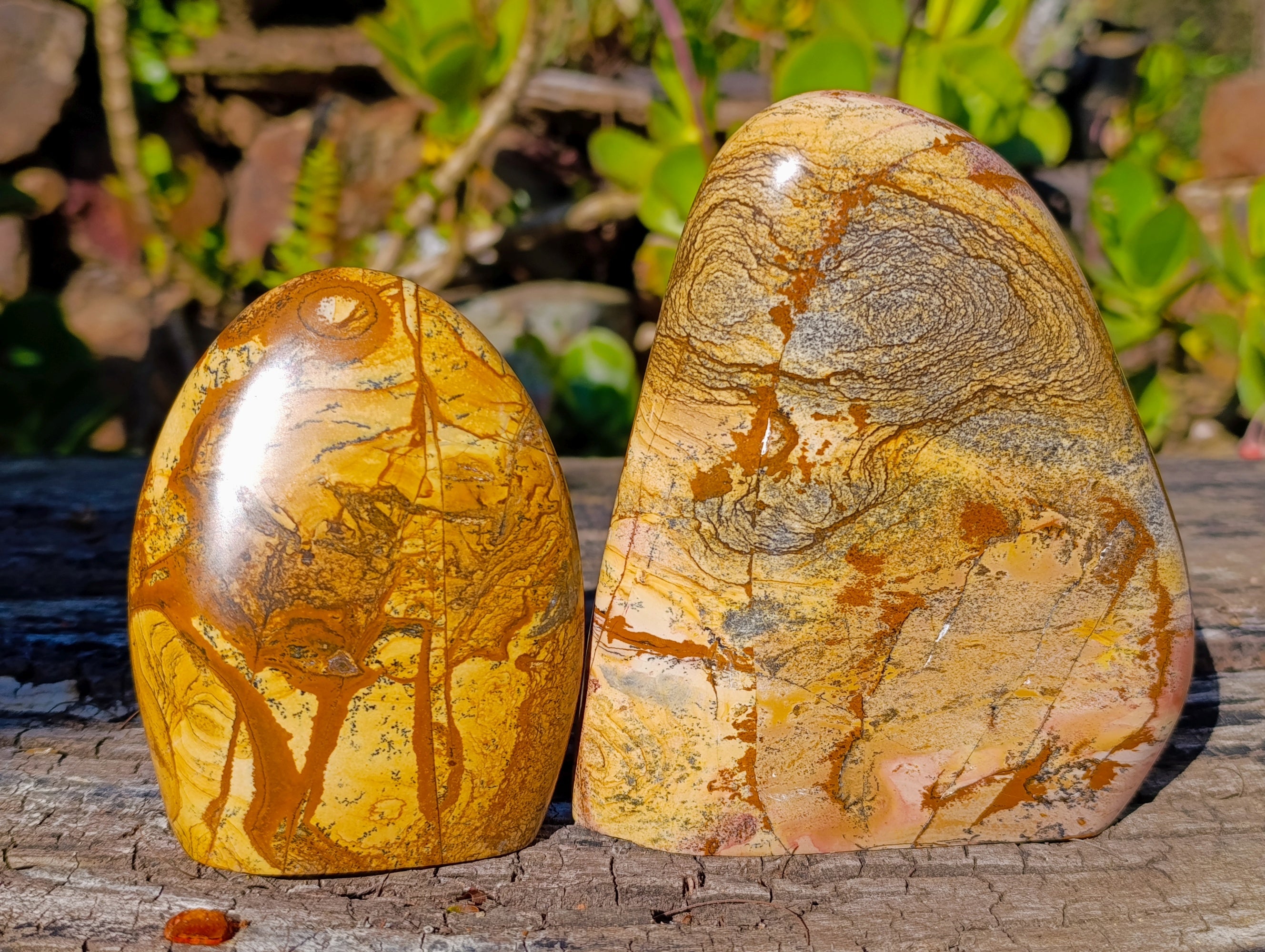 Polished Picture Stone Jasper Standing Free Forms x 2 From Ais-Ais, Namibia - Toprock Gemstones and Minerals 