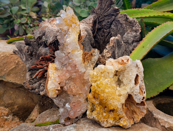 Natural Orange and Golden Limonite Quartz Clusters x 2 From Solwezi, Zambia