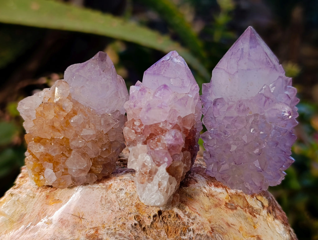Natural Amethyst Spirit Quartz Clusters x 20 From Boekenhouthoek, South Africa - Toprock Gemstones and Minerals 