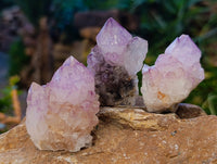 Natural Amethyst Spirit Quartz Clusters x 20 From Boekenhouthoek, South Africa