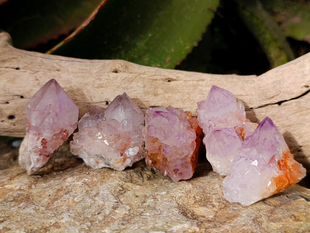 Natural Amethyst Spirit Quartz Clusters x 20 From Boekenhouthoek, South Africa - Toprock Gemstones and Minerals 