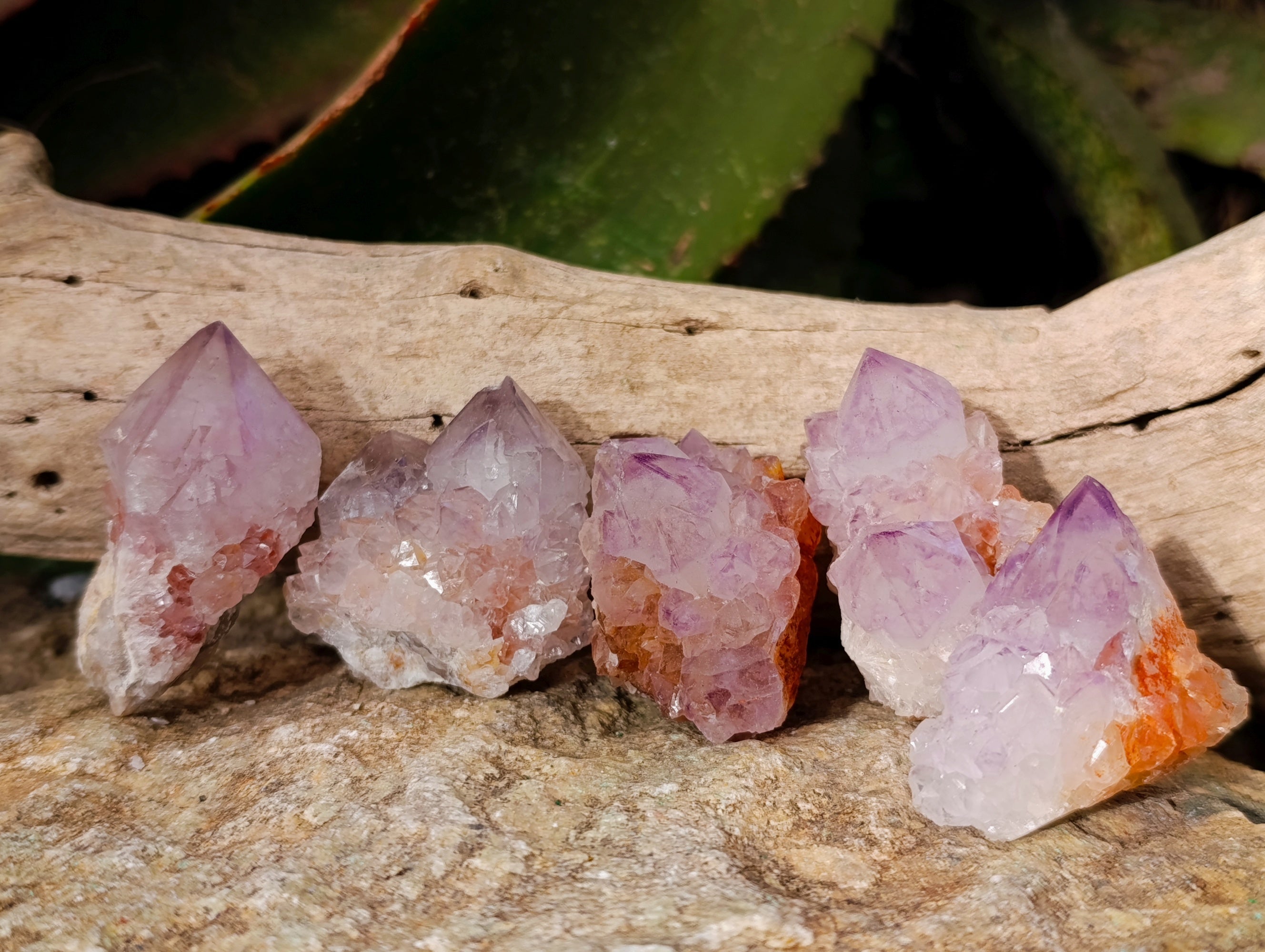 Natural Amethyst Spirit Quartz Clusters x 20 From Boekenhouthoek, South Africa - Toprock Gemstones and Minerals 
