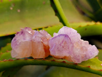 Natural Amethyst Spirit Quartz Clusters x 20 From Boekenhouthoek, South Africa