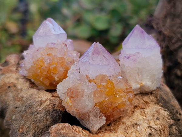 Natural Amethyst Spirit Quartz Clusters x 20 From Boekenhouthoek, South Africa
