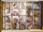 Natural Amethyst Spirit Quartz Clusters x 20 From Boekenhouthoek, South Africa - Toprock Gemstones and Minerals 