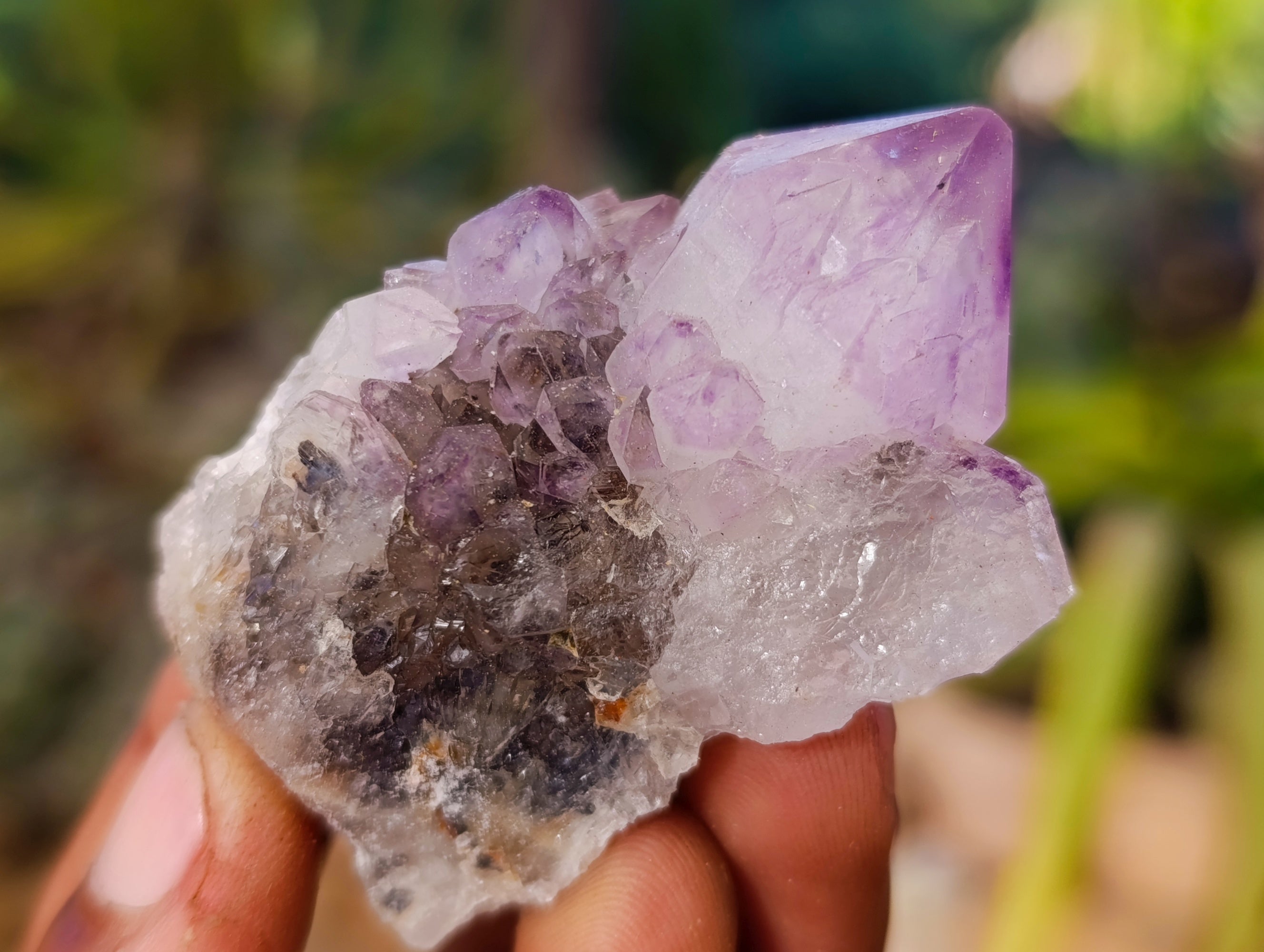 Natural Amethyst Spirit Quartz Clusters x 20 From Boekenhouthoek, South Africa - Toprock Gemstones and Minerals 