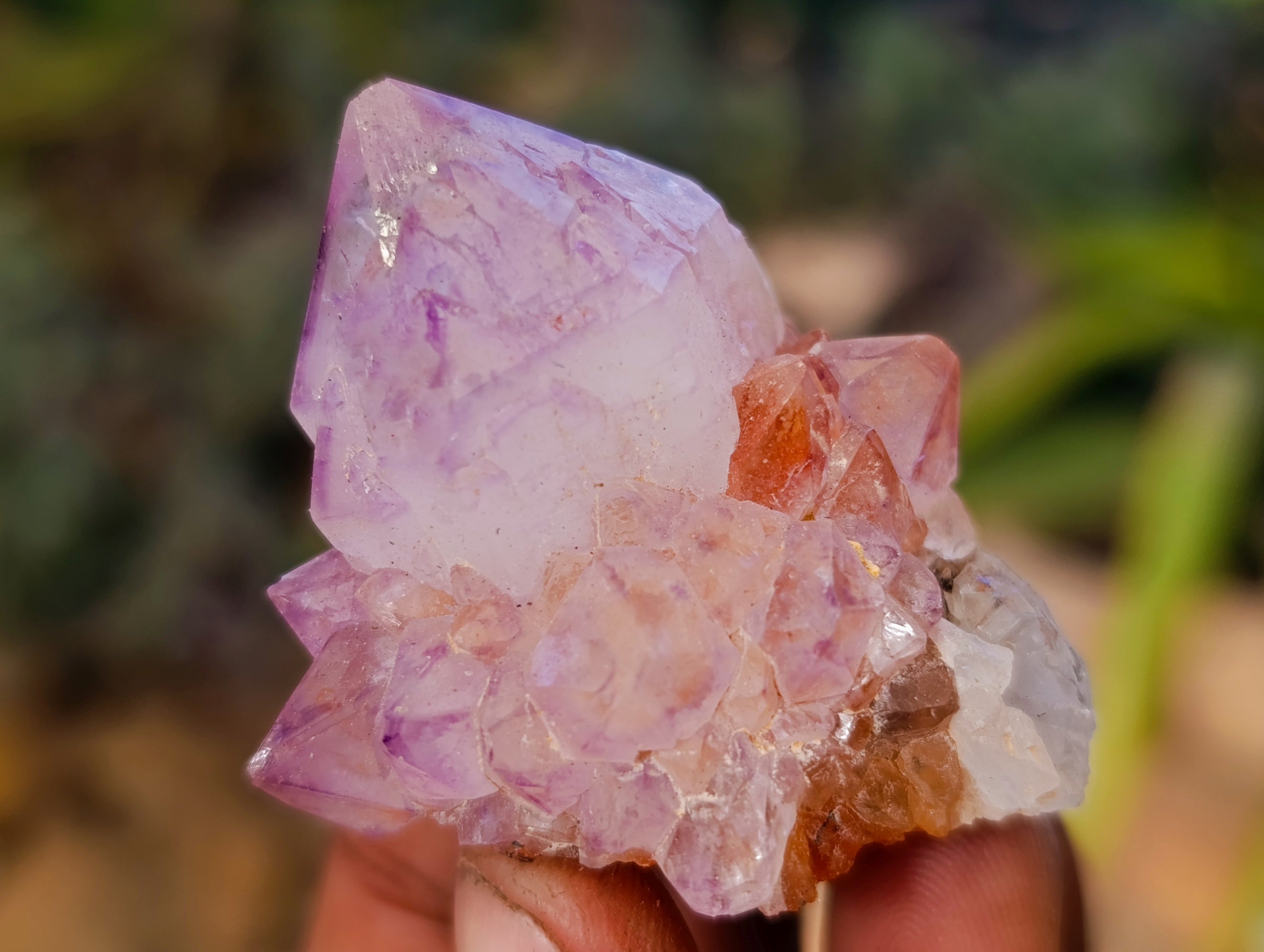 Natural Amethyst Spirit Quartz Clusters x 20 From Boekenhouthoek, South Africa - Toprock Gemstones and Minerals 