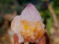 Natural Amethyst Spirit Quartz Clusters x 20 From Boekenhouthoek, South Africa